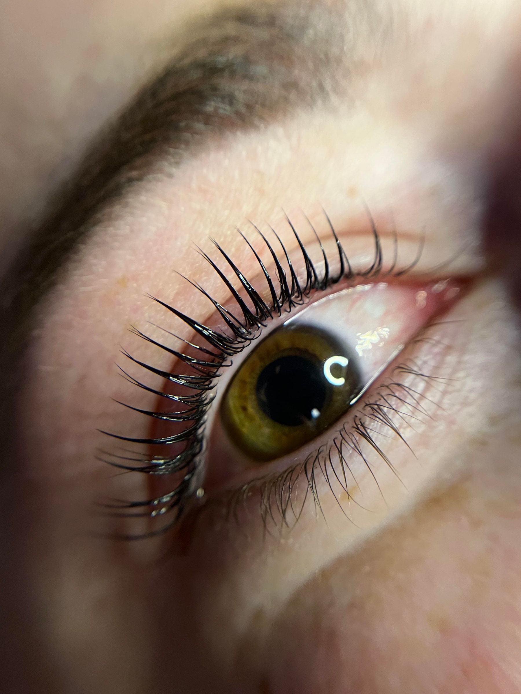 Geliftete Wimpern über einem grünbraunen Auge