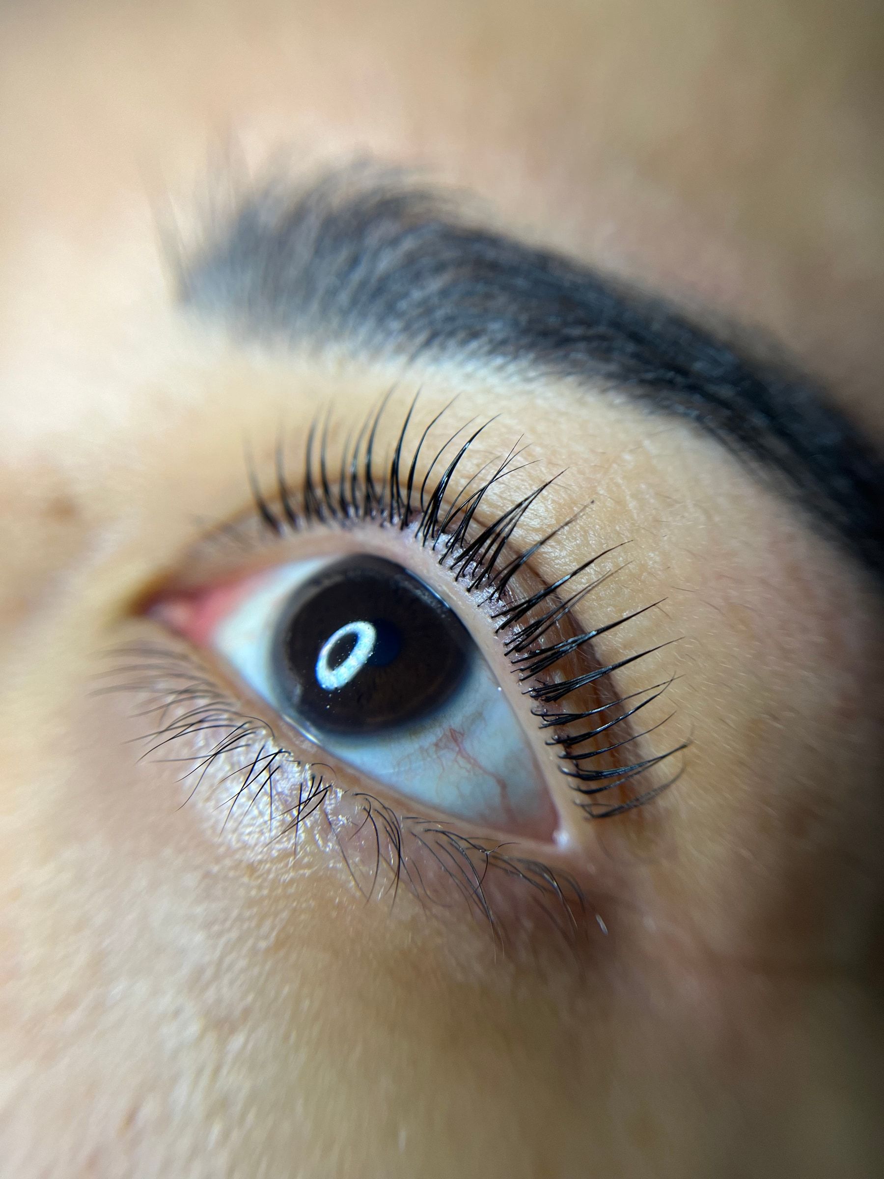 Stark geschwungene Wimpern über einem dunkelbraunen Auge