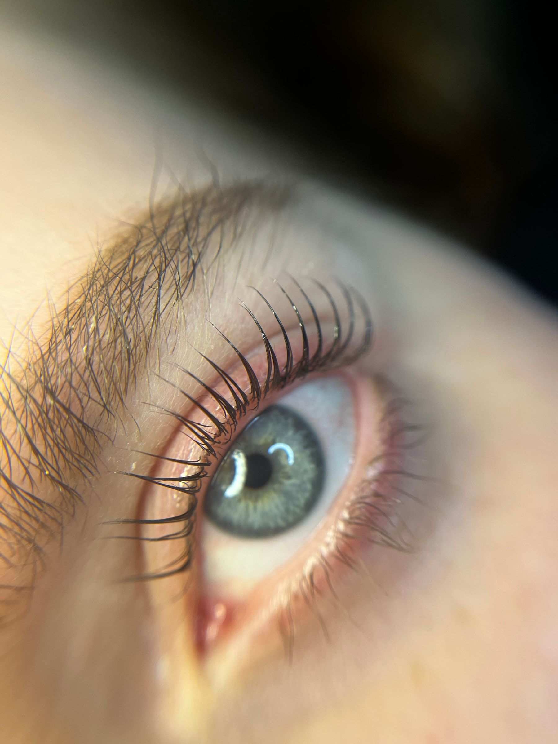 Geliftete Wimpern über einem graublauen Auge vor dunklem Hintergrund